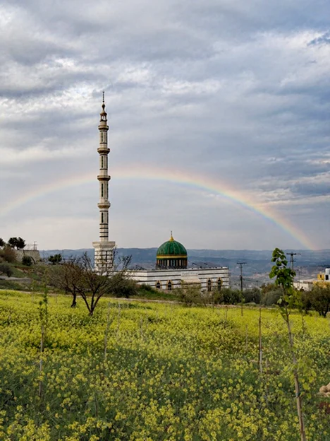 بلدة الوسية في السلط