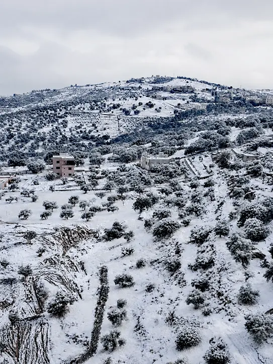 الوسية مغطاة بالثلج 