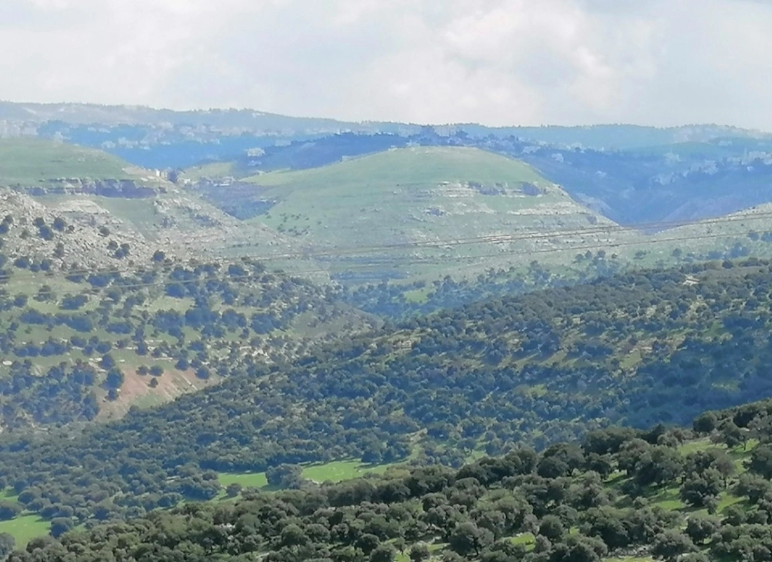 صورة للمرتفعات جنوب شرق بلدة الوسية مع بروز جبال صويلح في الأفق البعيد