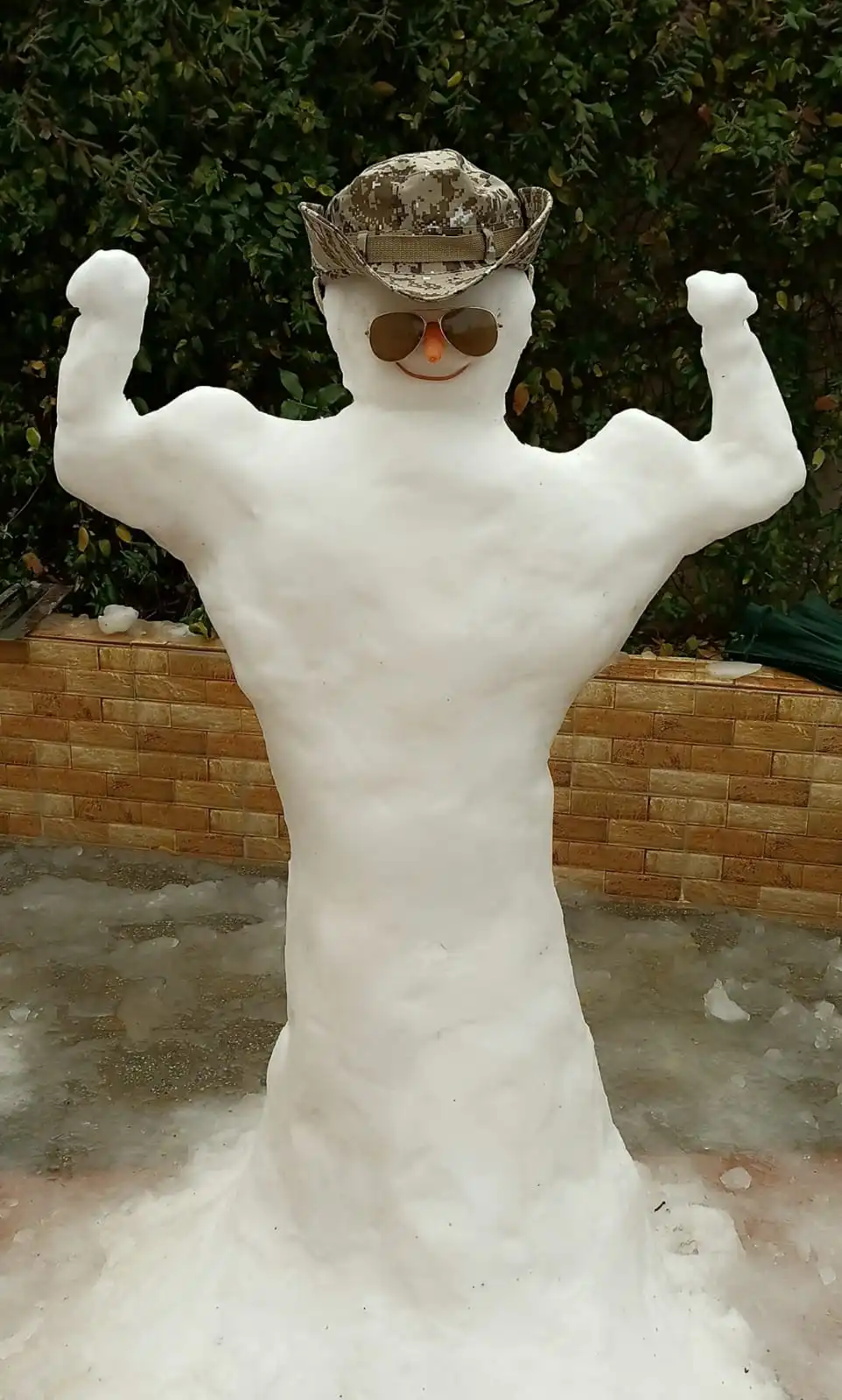 الثلج في الوسية 
