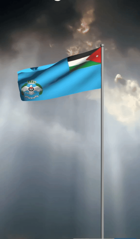علم سلاح الجو 