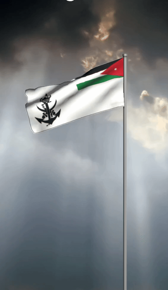 علم سلاح البحرية