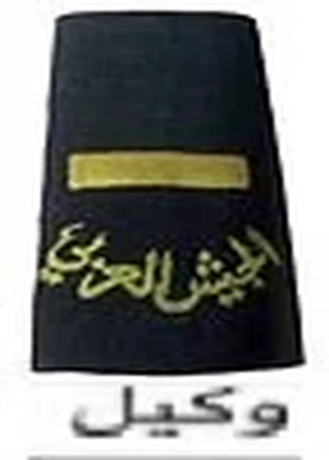 وكيل